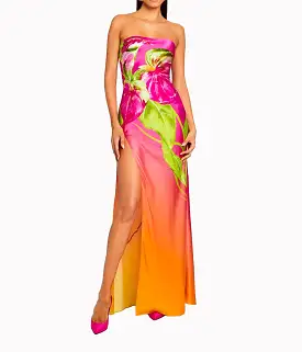 Aiyanna Dress in Ombre Anthurium