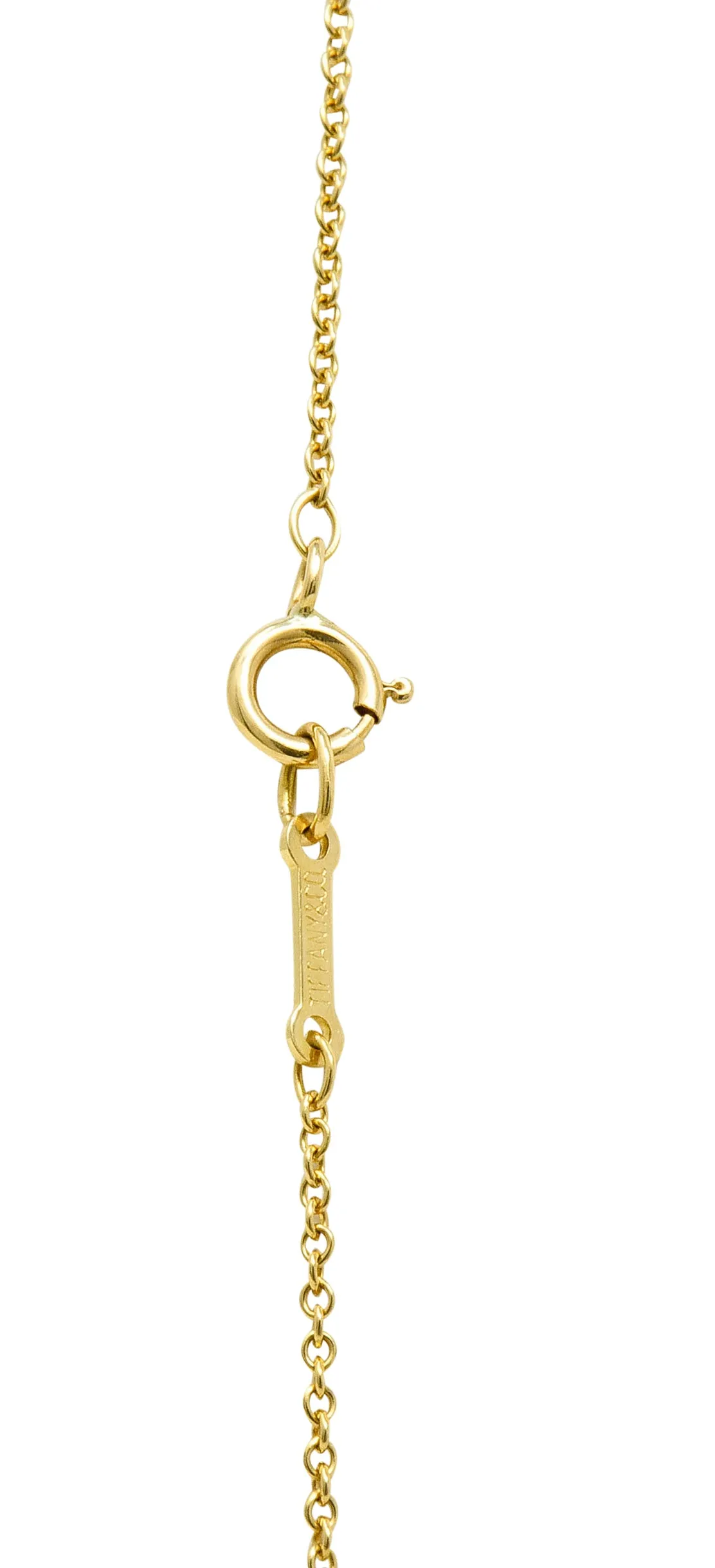 Elsa Peretti Tiffany & Co. Tiger Iron 18 Karat Gold Touchstone Pendant Necklace