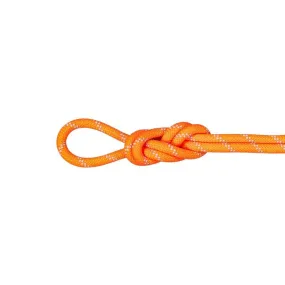 Mammut  9.5 Alpine Dry Rope - Corda intera