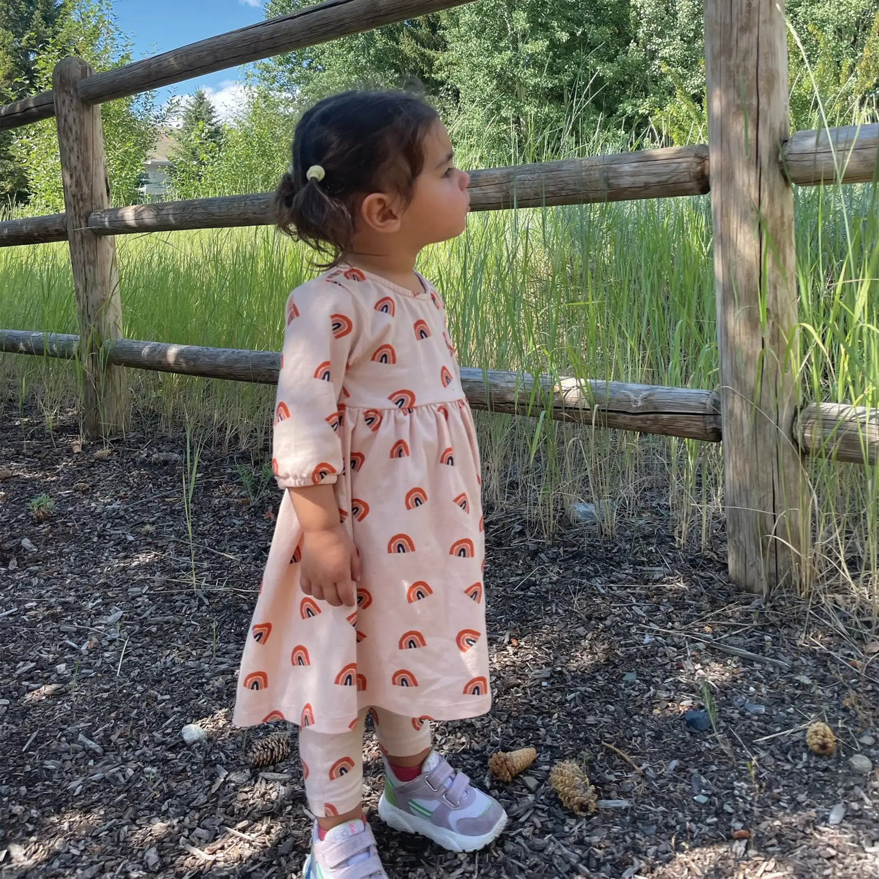 Rainbow Baby Dress